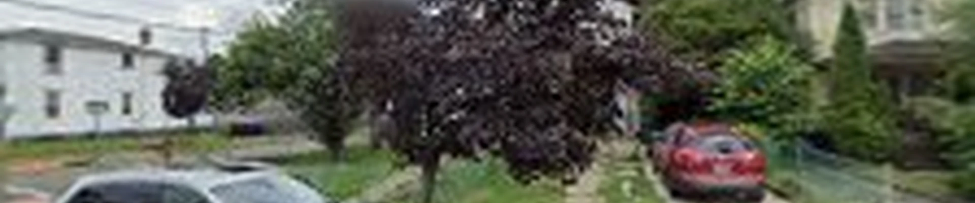 Flores Tree Service & Landscaping