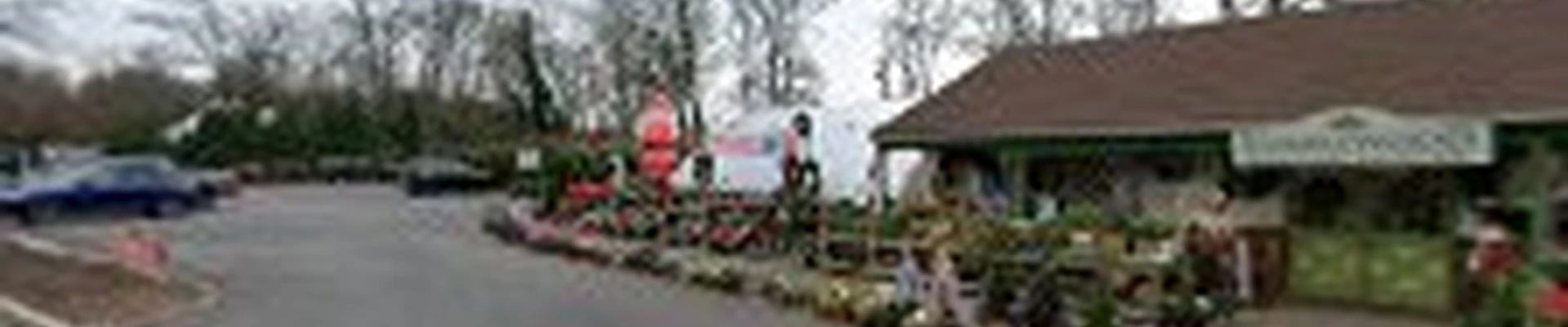 Ramblewood Garden Center