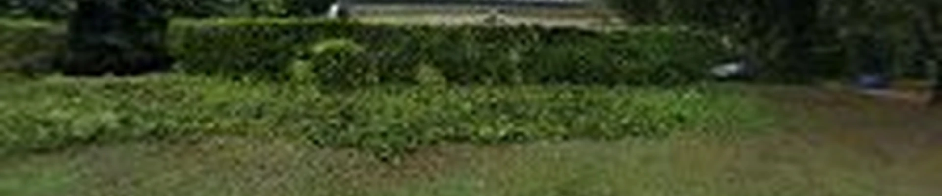 Suburban Lawn and Landscaping