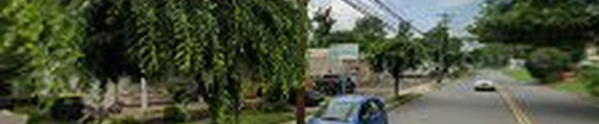 Bill Johnston Landscape Company