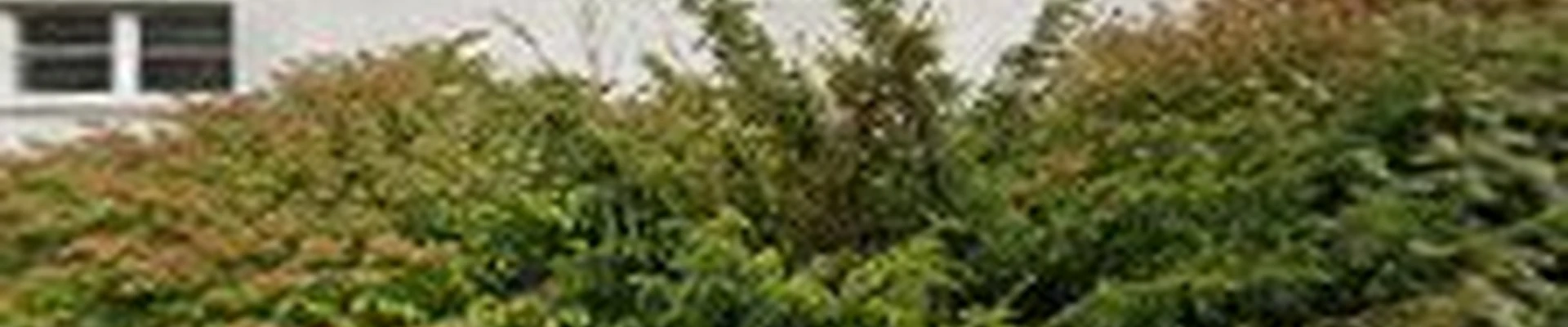 Bates Landscaping