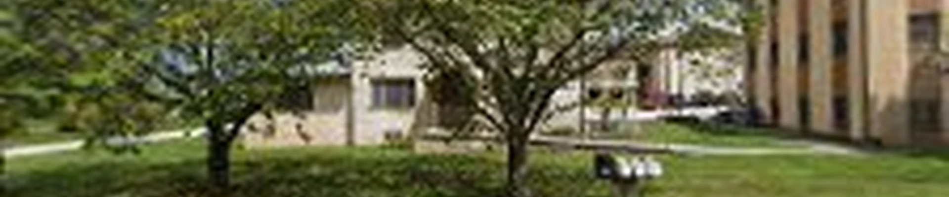 D&S Landscaping