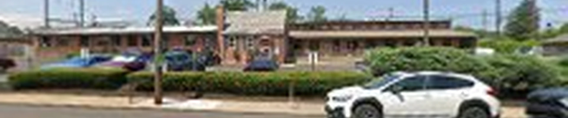Sabia Landscaping & Tree Service