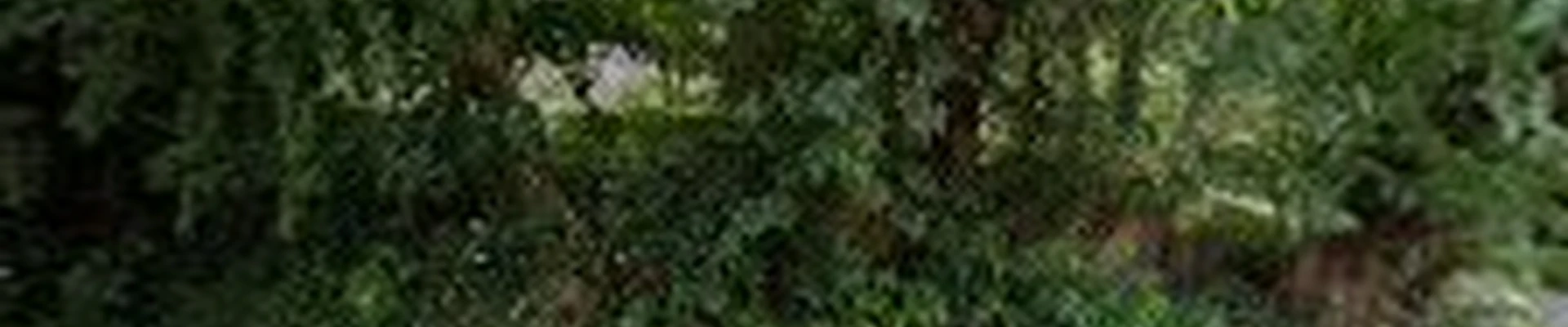 Moyers Landscaping