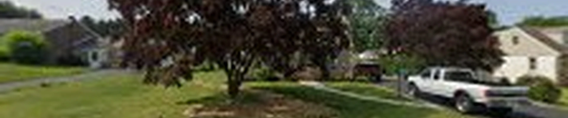 Latino Landscaping & Tree Service
