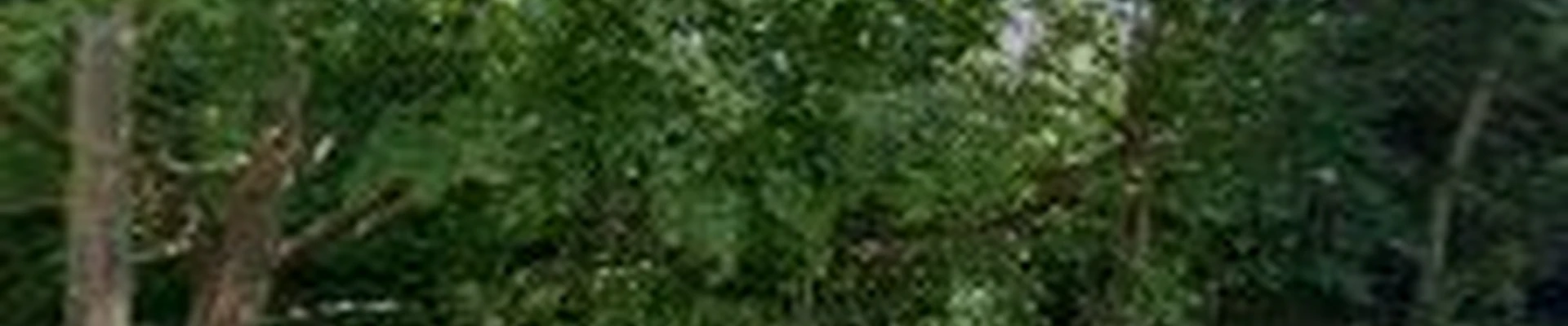 All In One Landscaping Inc.