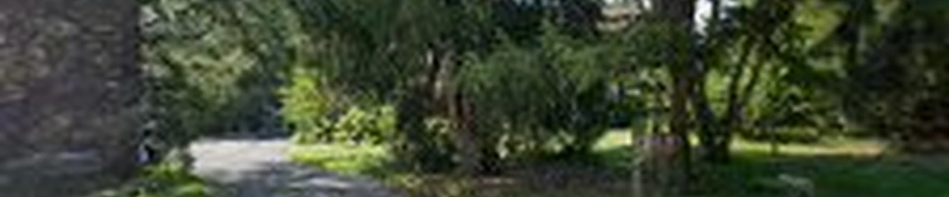 Connolly Landscaping