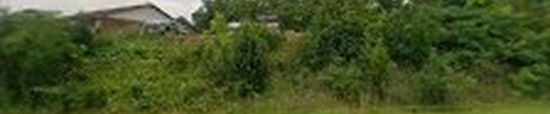 Blue River Landscape & Design