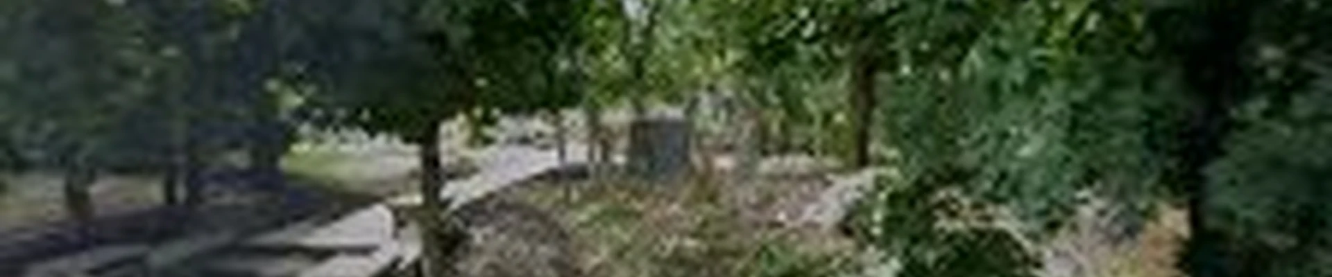 GD Landscaping, LLC