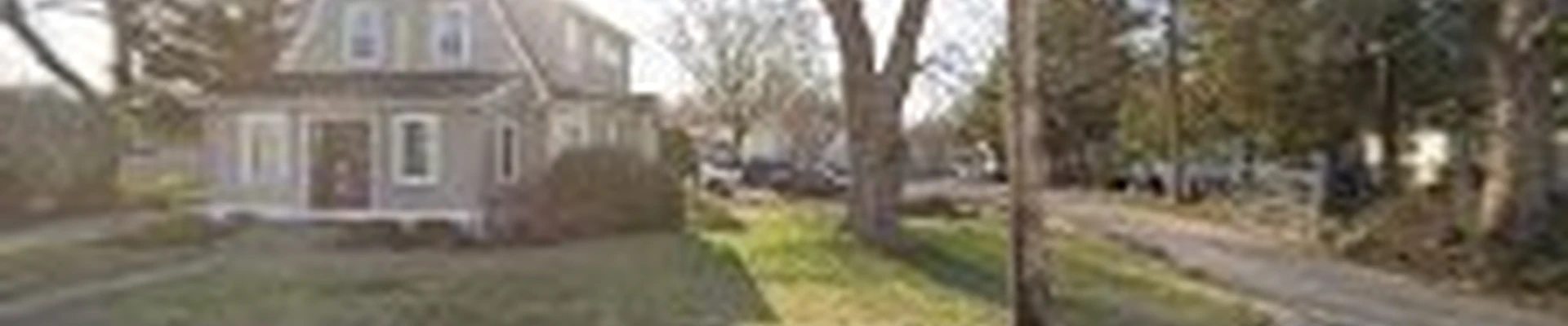 Willow Tree & Landscaping Services