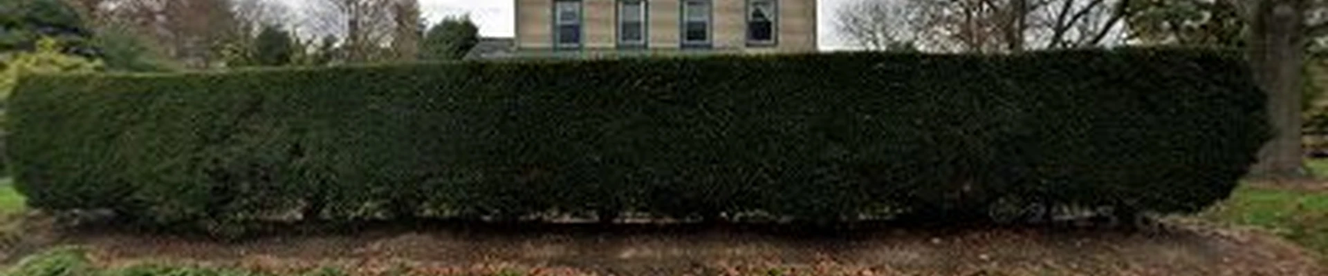 Ed Mann Landscaping LLC
