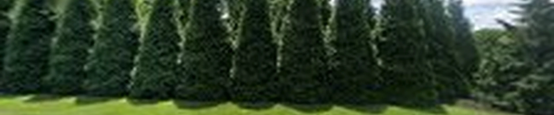 Fox Landscape Designs, LLC