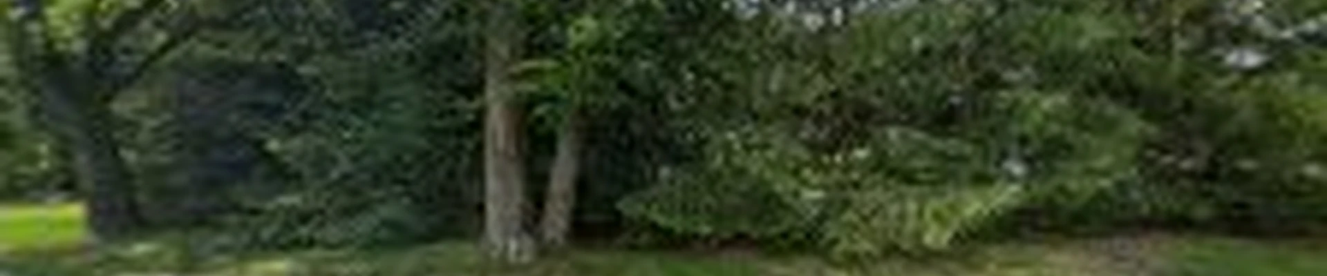 FW Landscaping LLC