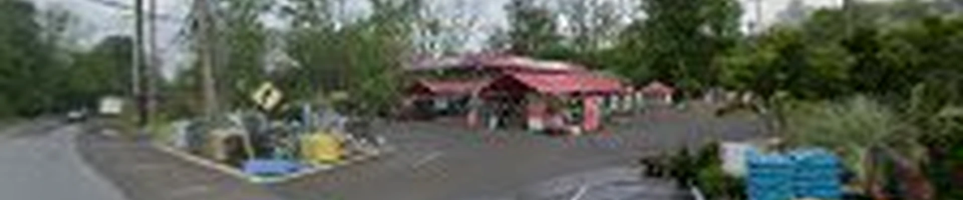 The Flower Station & Landscape Solutions