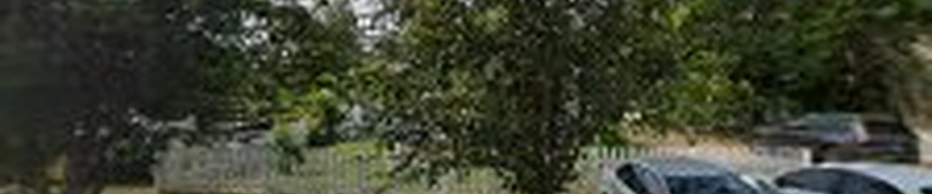 Verde Landscaping & Tree Trimming