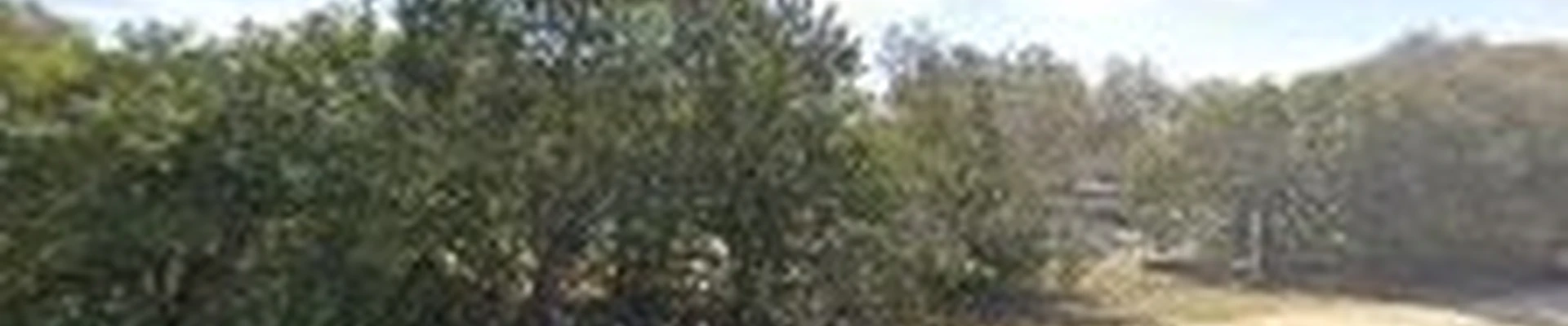 Eternal Eden Landscape Design