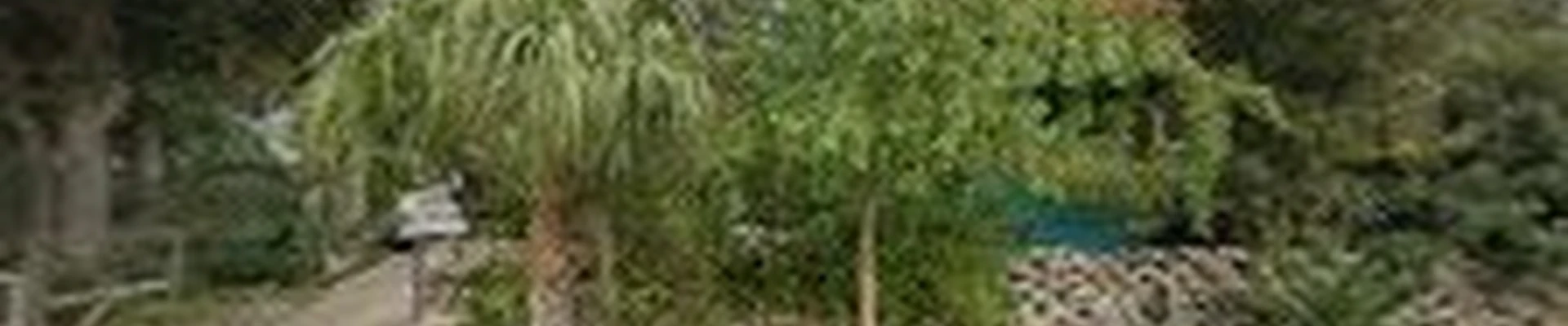 Sunshine Landscape Management, Inc.