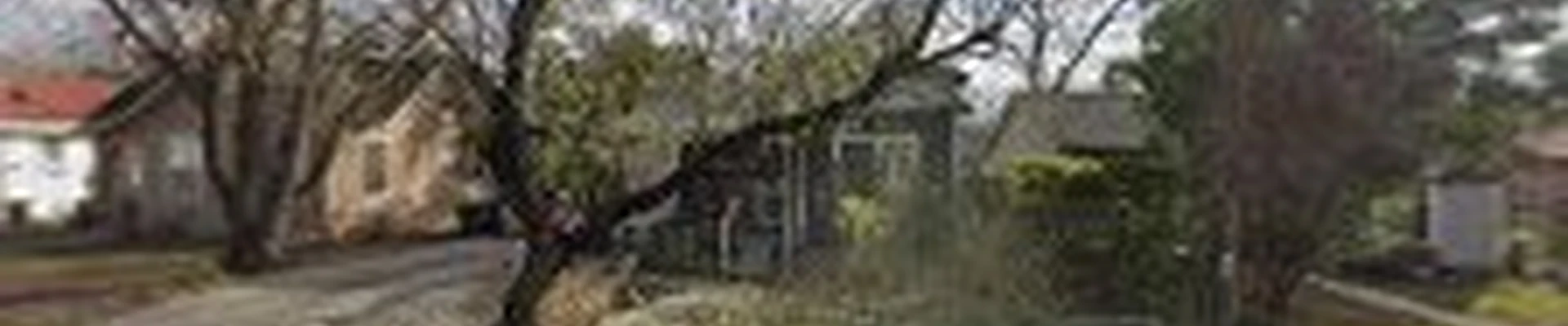 Beacon Hill Landscaping & Lawn Care