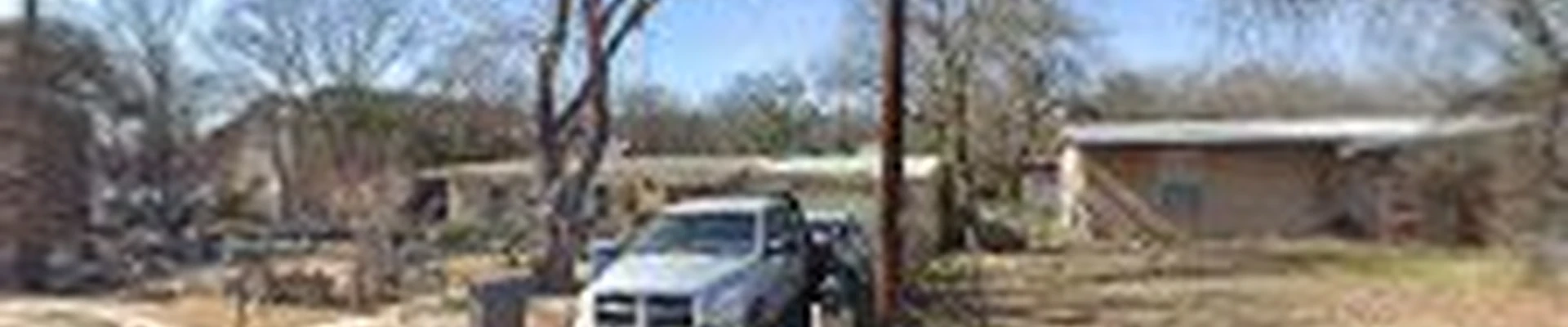 Planet Green Tree And Landscaping Services