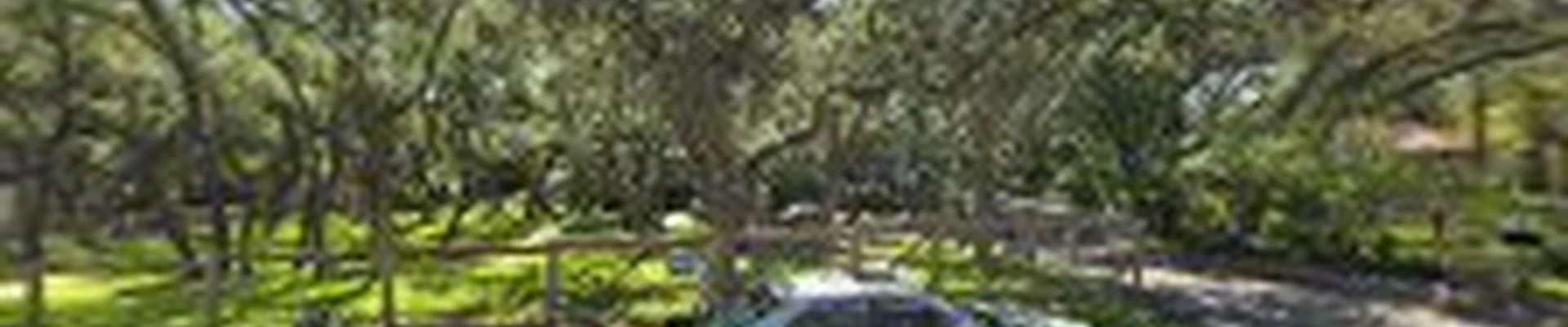 Leifeste Landscape Design