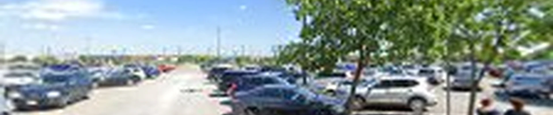 Walmart Garden Center