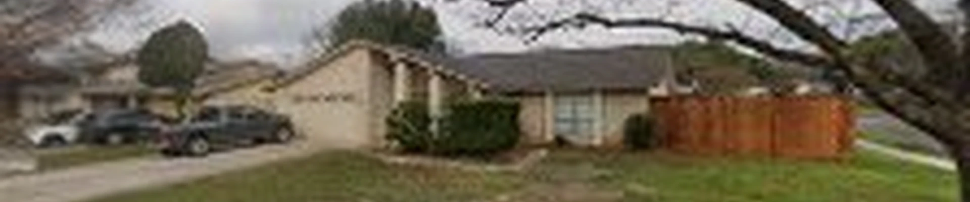 The Tree Man Tree Care And Landscape
