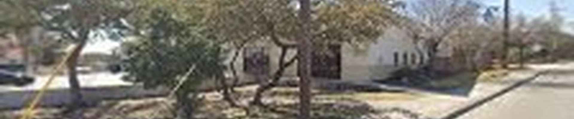 Bexar Tree Works
