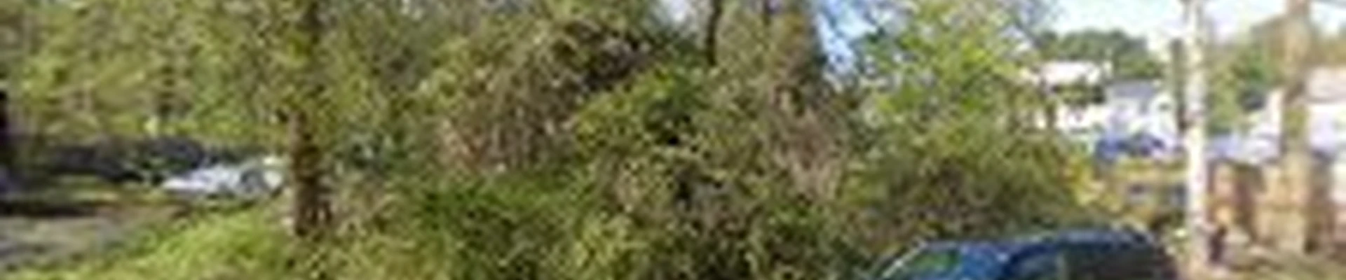 Tom Williamson Landscaping, Inc