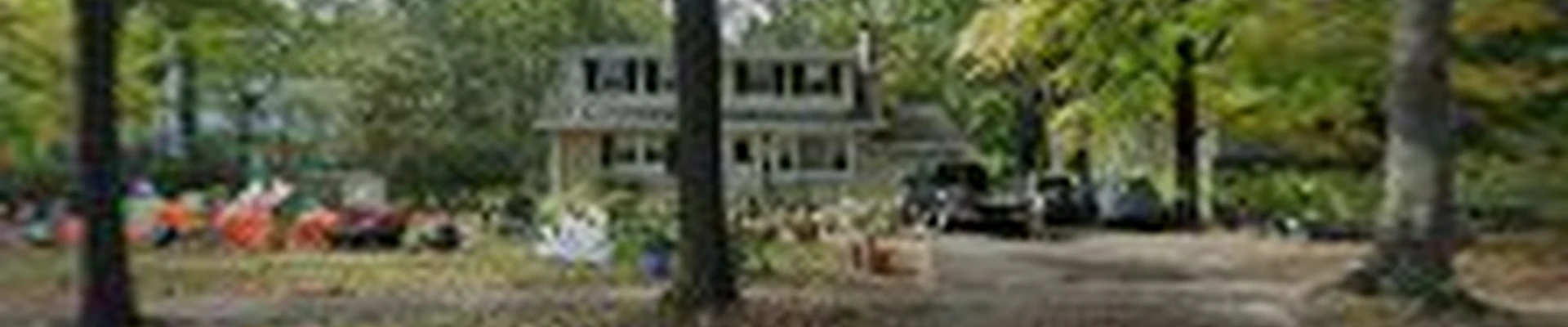 Century's Landscaping Services