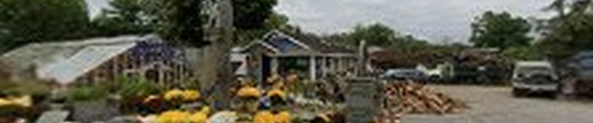 Denny Wiggers Garden Center
