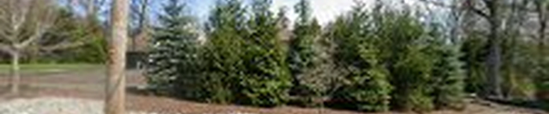 Harts Landscape Design & Excavation