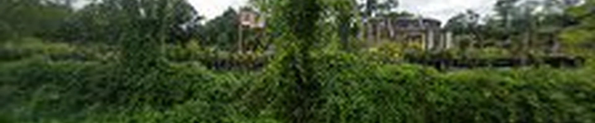 Hilltop Masonry & Landscaping NY
