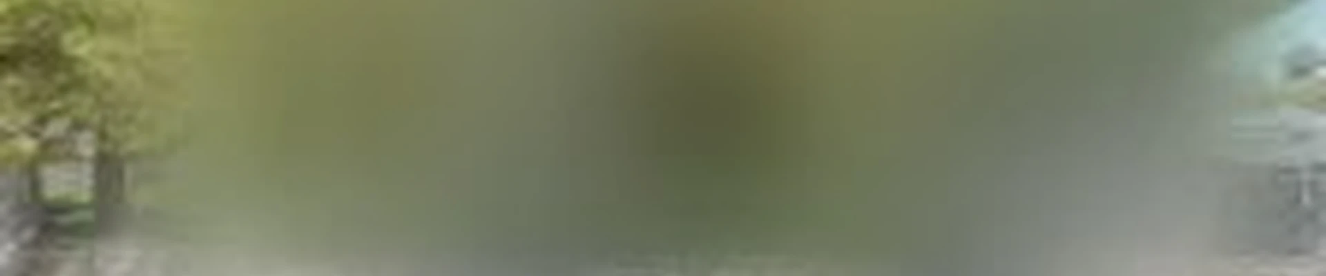 Desert West
