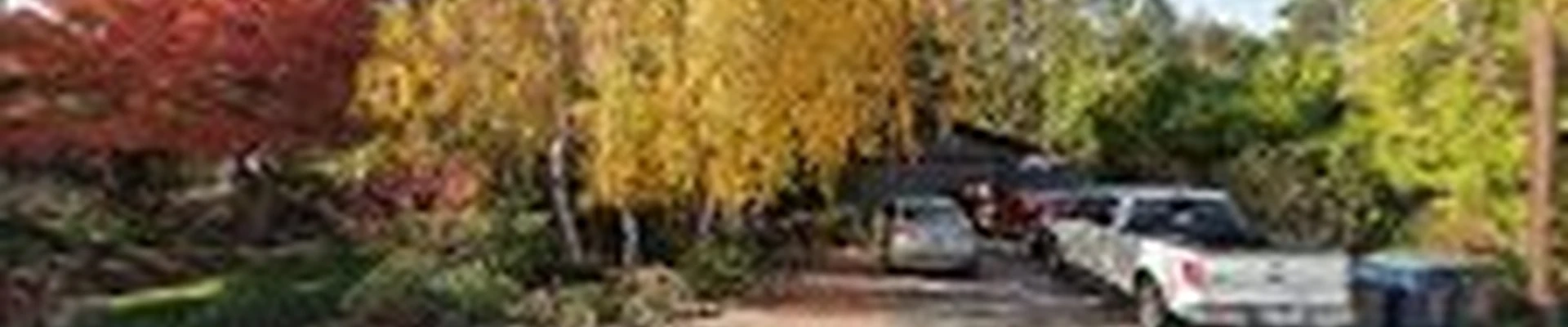 Landscape Design & Construction