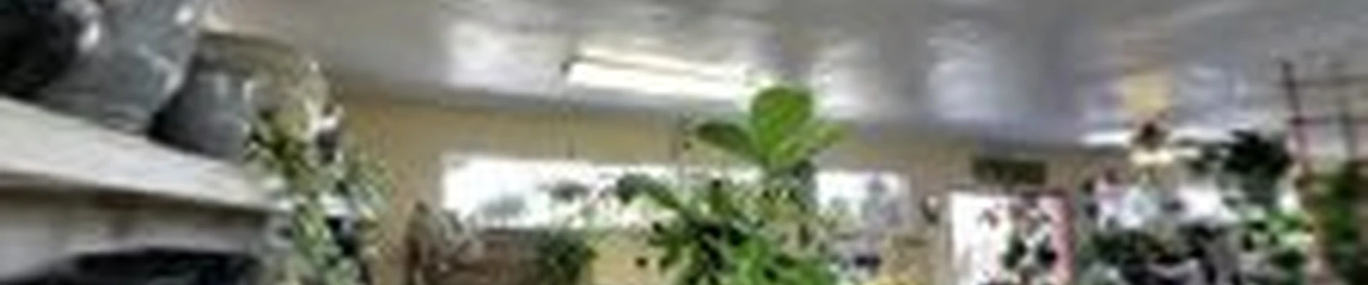 Green Gardens Nursery