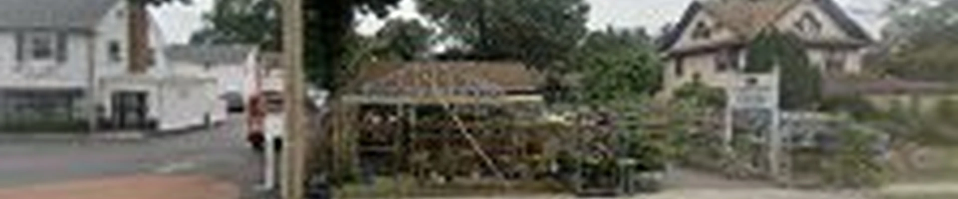 Costantino Nursery Inc