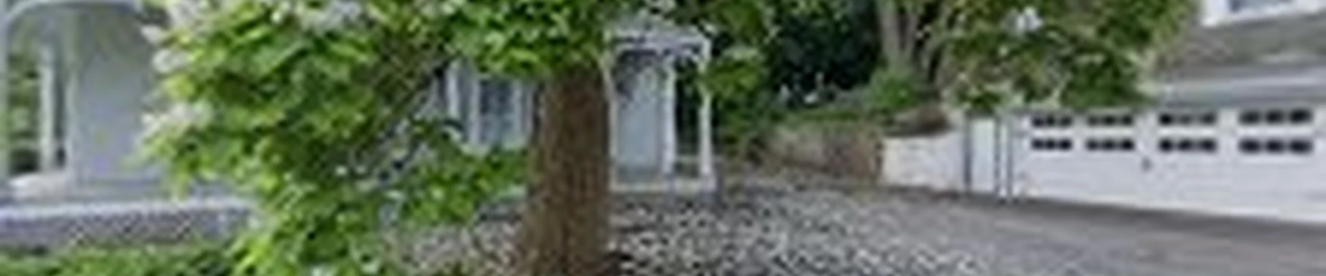 Forever Green Landscape Services Inc.