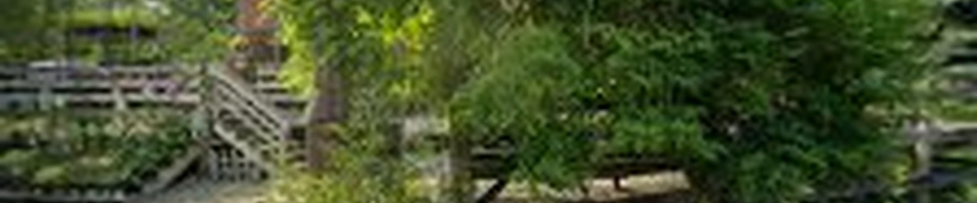 Arbor Hill Garden Center & Landscaping