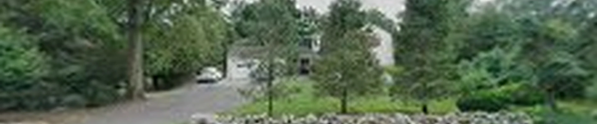 All County Lawn Care Tree & Shrub