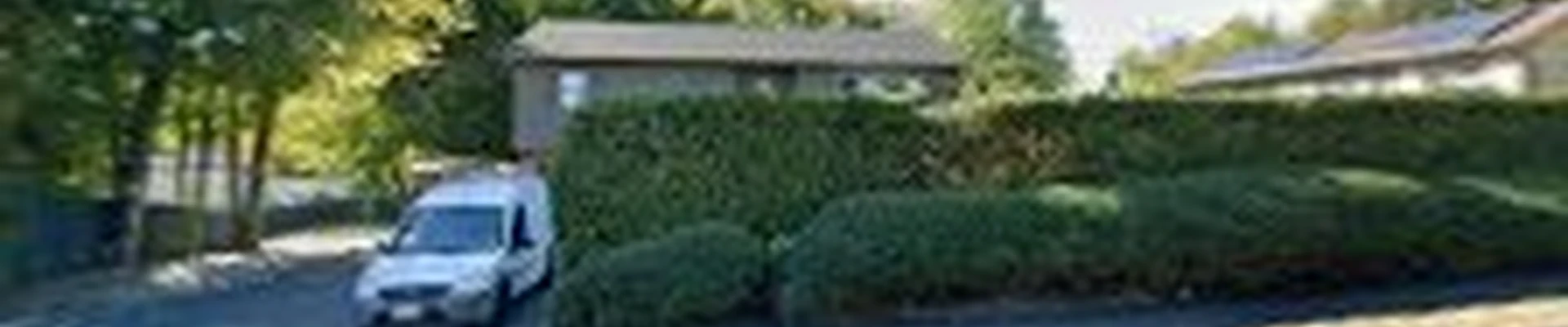 Leonel Landscaping Inc