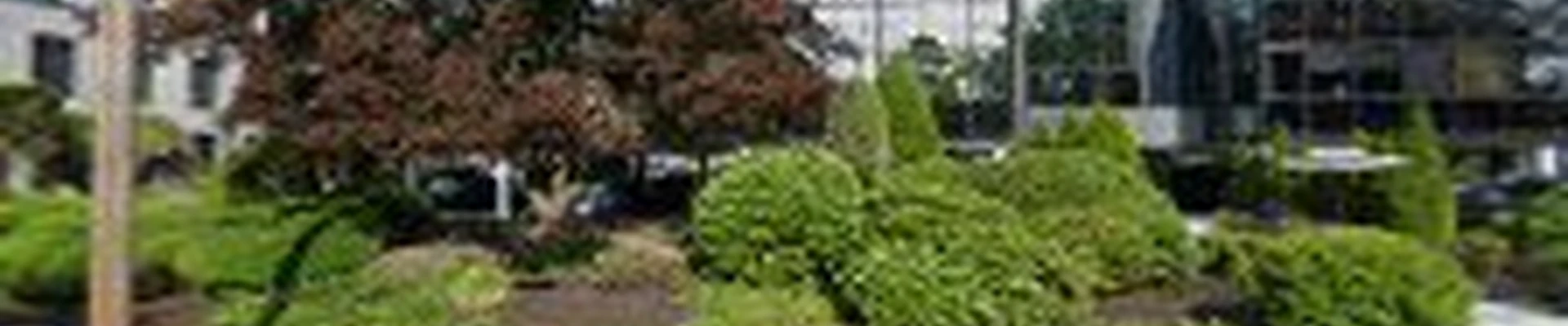 Dubons Landscaping LLC