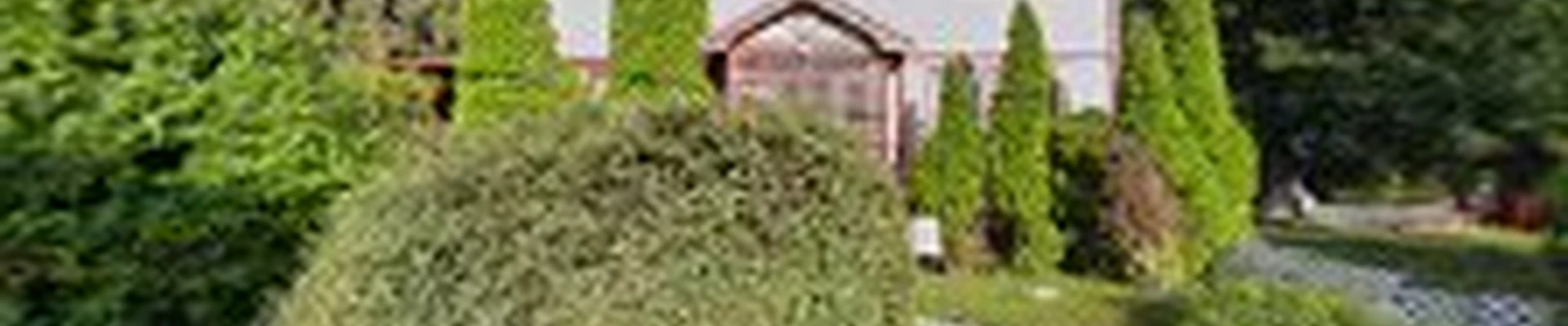 Lugo Landscaping