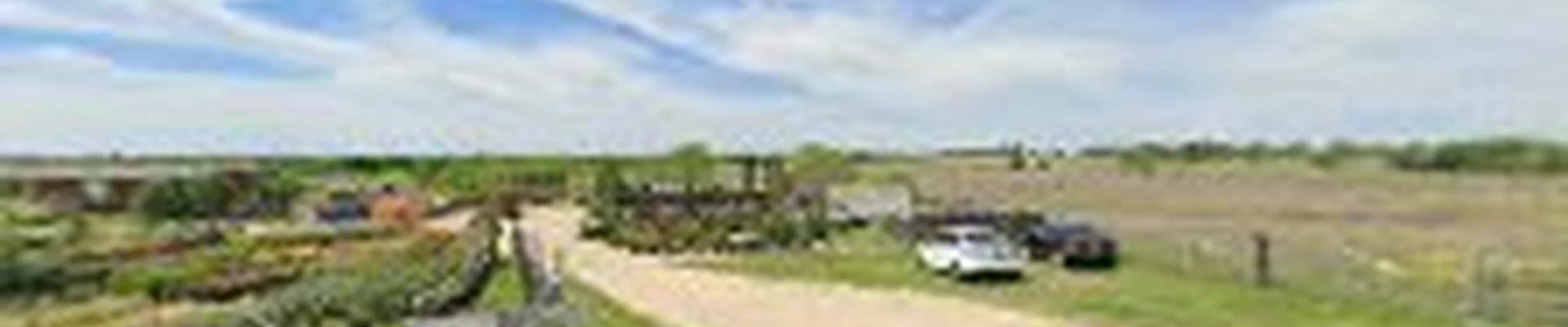 New Birth Landscaping