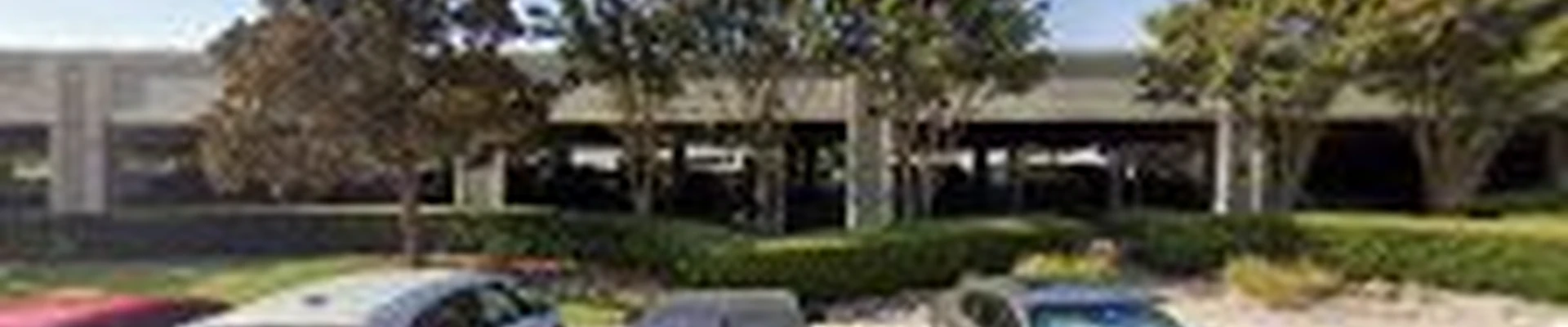Plano Landscaping
