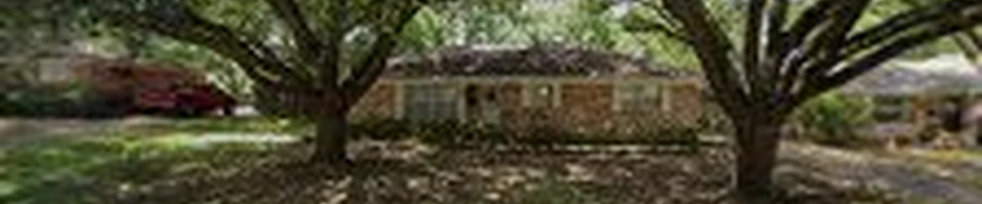 Texas Sod & Drainage pros