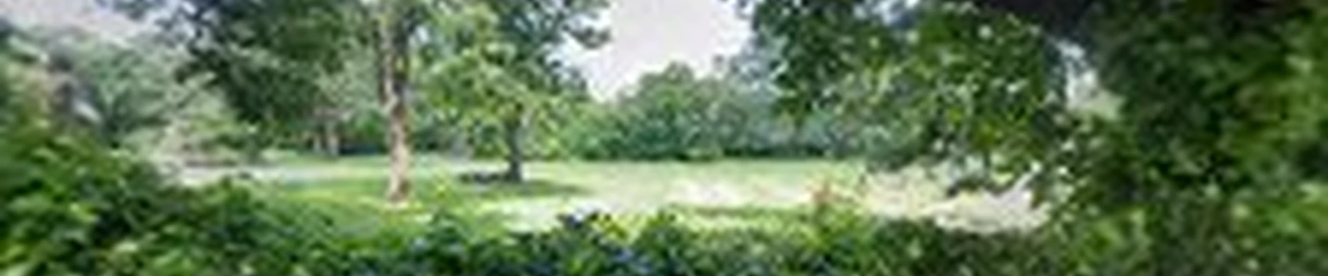 DFW Landscape Solutions