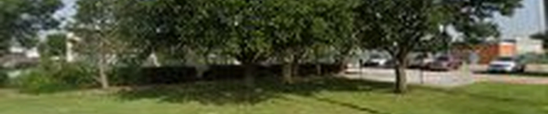 Peterson's Landscape & Maintenance Services