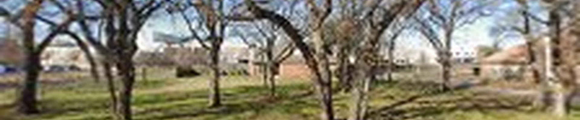 North Park Landscaping