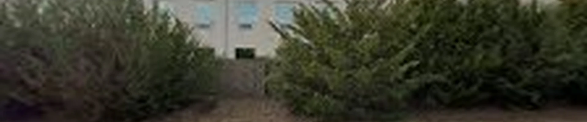JC's Landscaping LLC