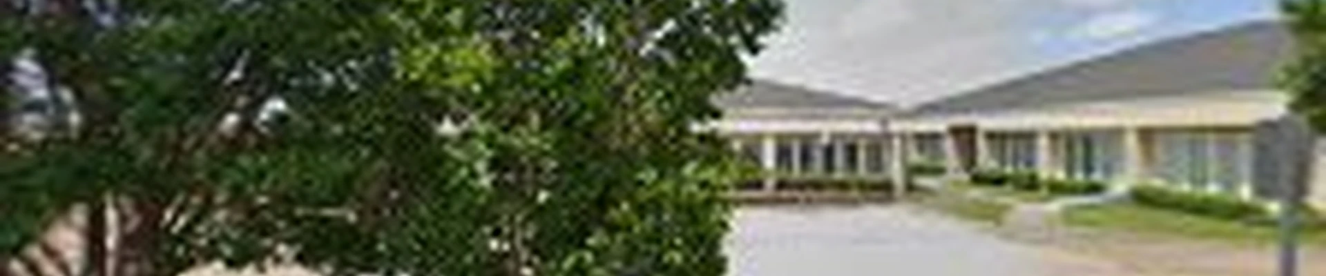 Diaz Tree & Lawn Service